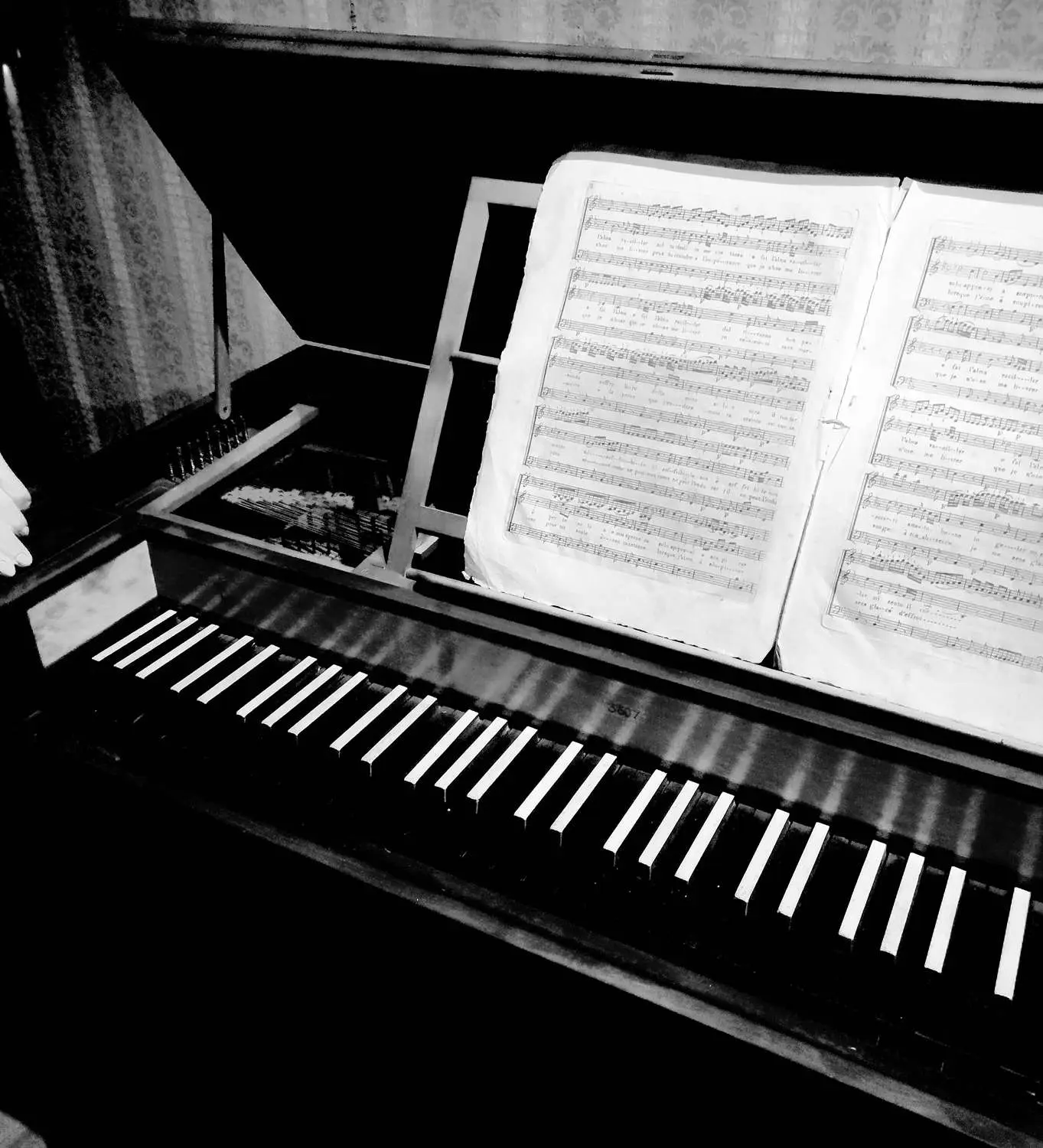 Have piano keys always been black and white?